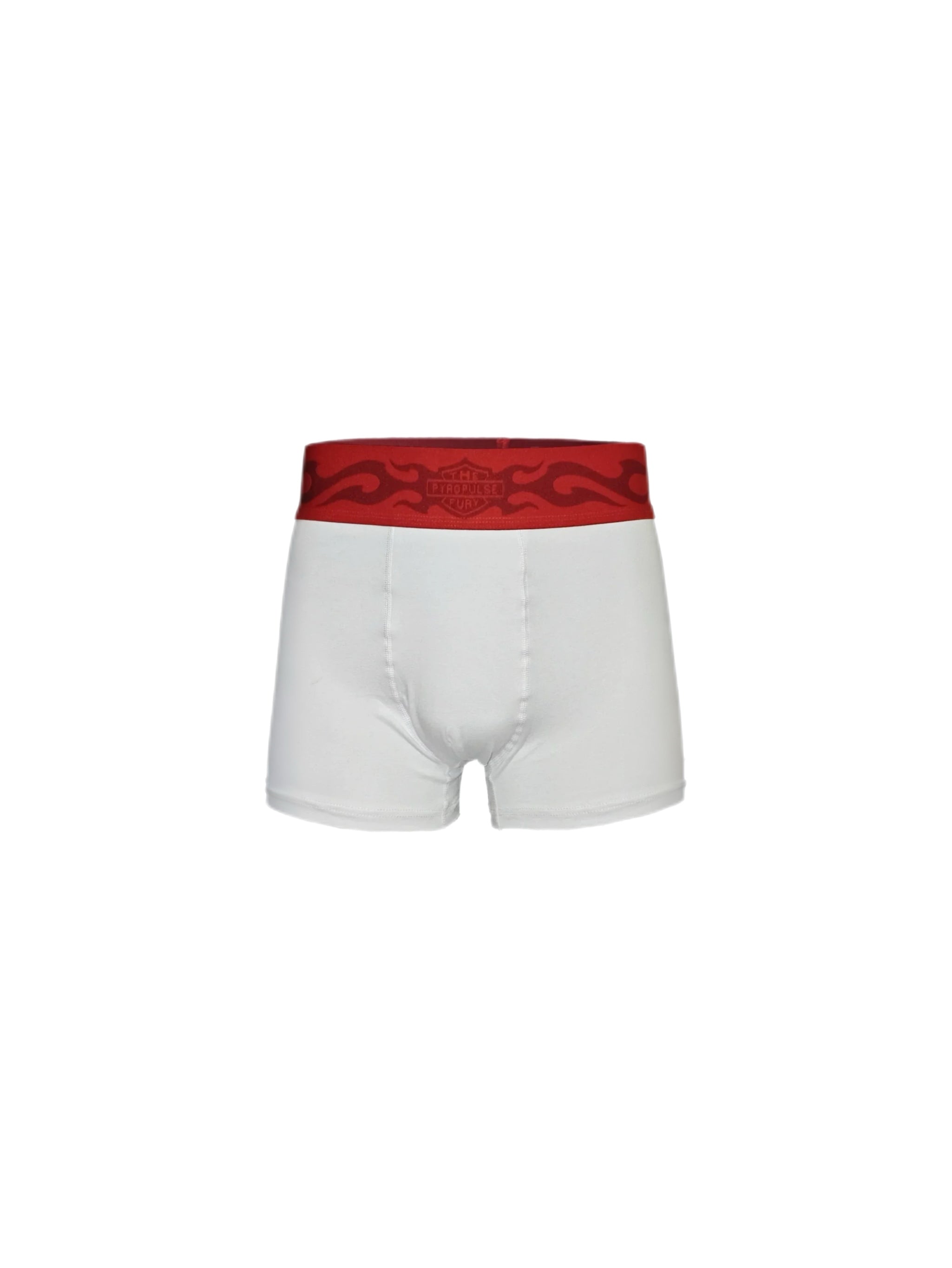 FLAME PRINT HIGH WAIST BRIEFS